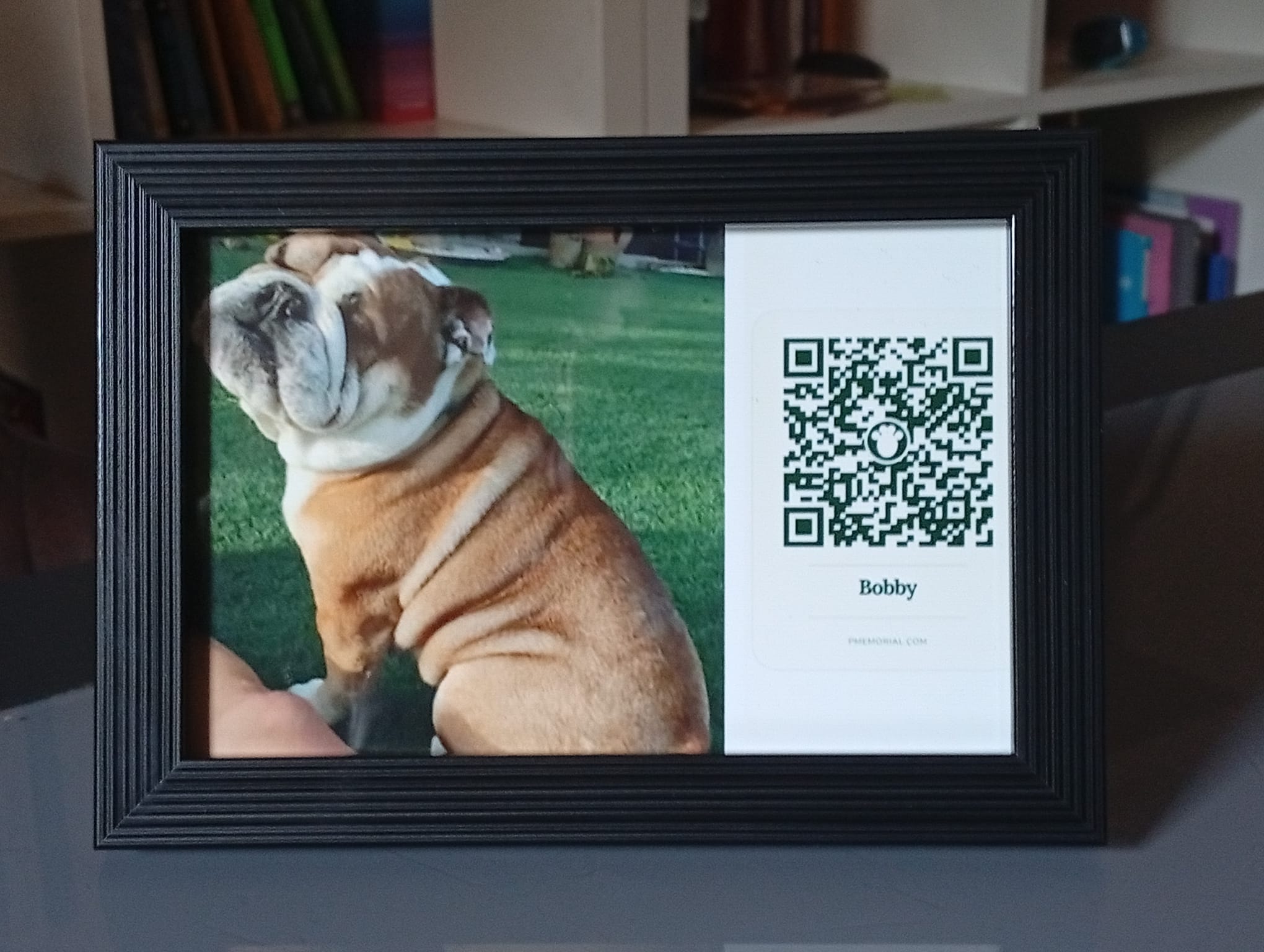 A framed pet photograph and QR-linked digital memorial display
